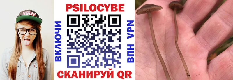 наркота  Туймазы  Псилоцибиновые грибы мухоморы 