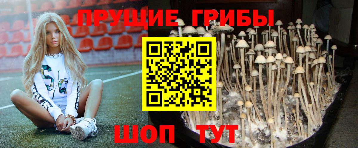 купить   Галлюциногенные грибы мицелий  Вход с VPN  Туймазы  Псилоцибиновые грибы мицелий 