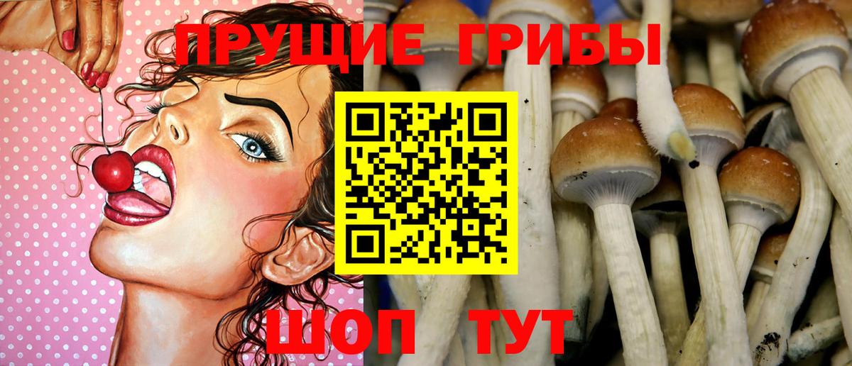 Галлюциногенные грибы Cubensis Туймазы